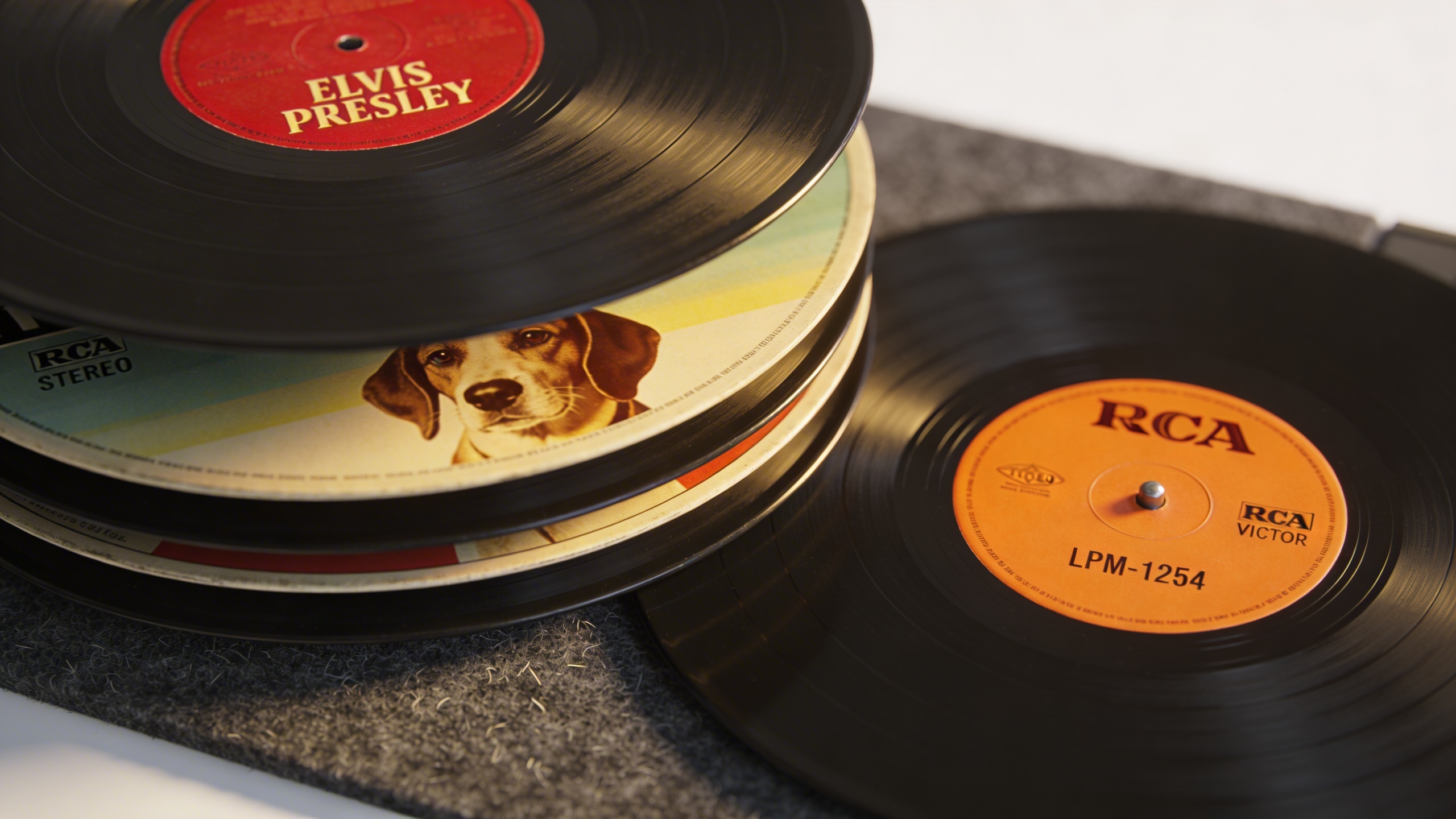 Photorealistic: Stack of RCA Victor Elvis albums showing different label variations - red seal, shaded dog, orange label - arranged on felt turntable mat, soft studio lighting emphasizing label detail